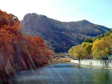 新澳天天开奖资料大全旅游团，小说在线阅读